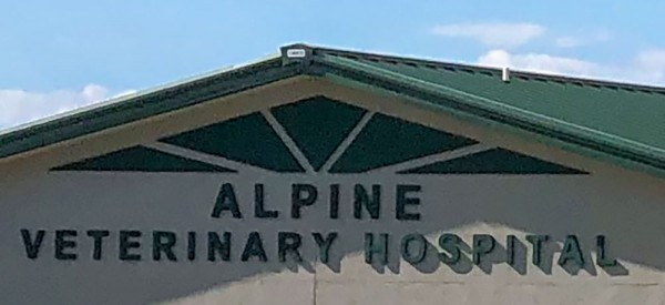 alamosa alpine vet hospital 7